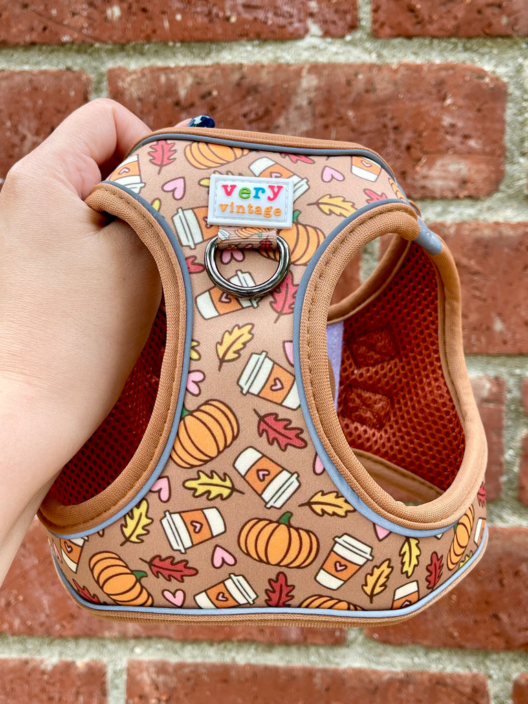 Pet harness with autumn-themed PSL design held against a brick wall