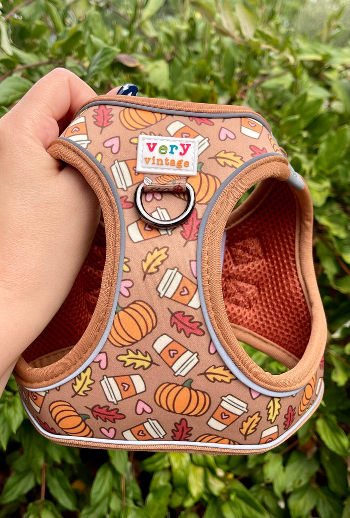 Pumpkin spice dog harness with fall print held in front of greenery
