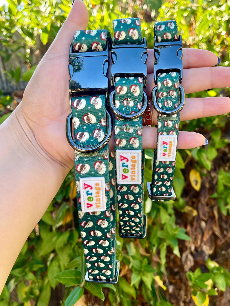 Hand holding green Christmas dog collars with multiethnic Santa print outdoors