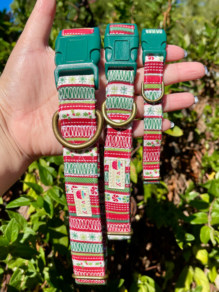 Hand holding three Ribbon Candy collars in front of greenery – red, green, and white holiday dog collars with green buckles and brass hardware