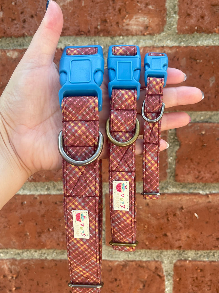 Rust plaid dog collars with blue buckles in three sizes, held in hand in front of red brick wall