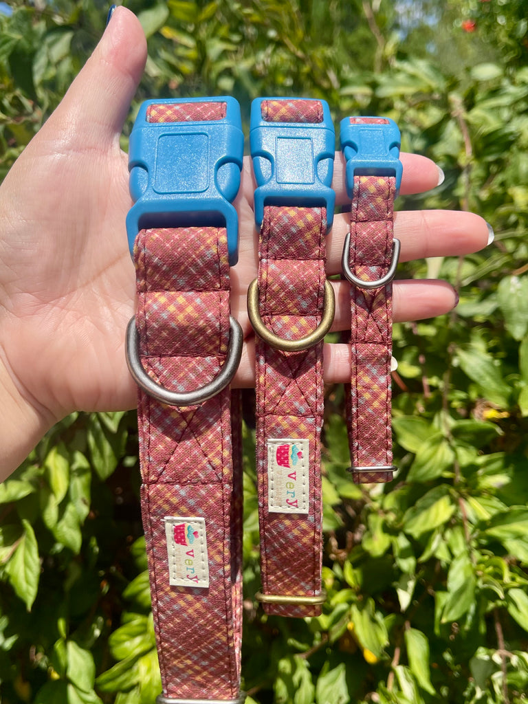 Rust red plaid dog collars with bright blue buckles in three sizes, held in hand outdoors with leafy background