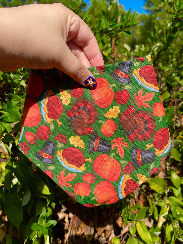 Hand holding festive Thanksgiving pet bandana with pumpkin pie and turkey print against green foliage background