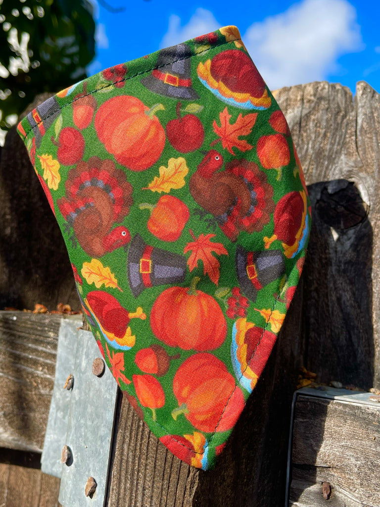 Thanksgiving-themed dog bandana featuring pumpkins, pilgrim hats, and turkeys draped over rustic wood fence in sunlight