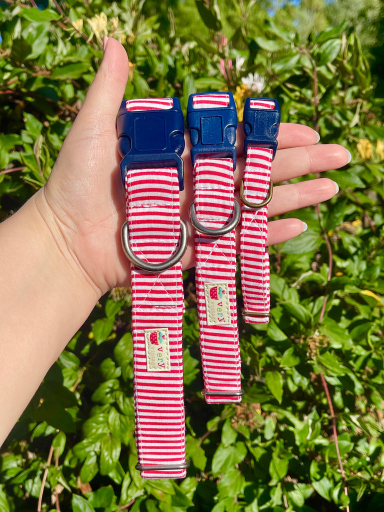 Red stripe nautical dog collar with bold navy buckle, held in hand outdoors with leafy greenery in background. Eco-friendly and adjustable.