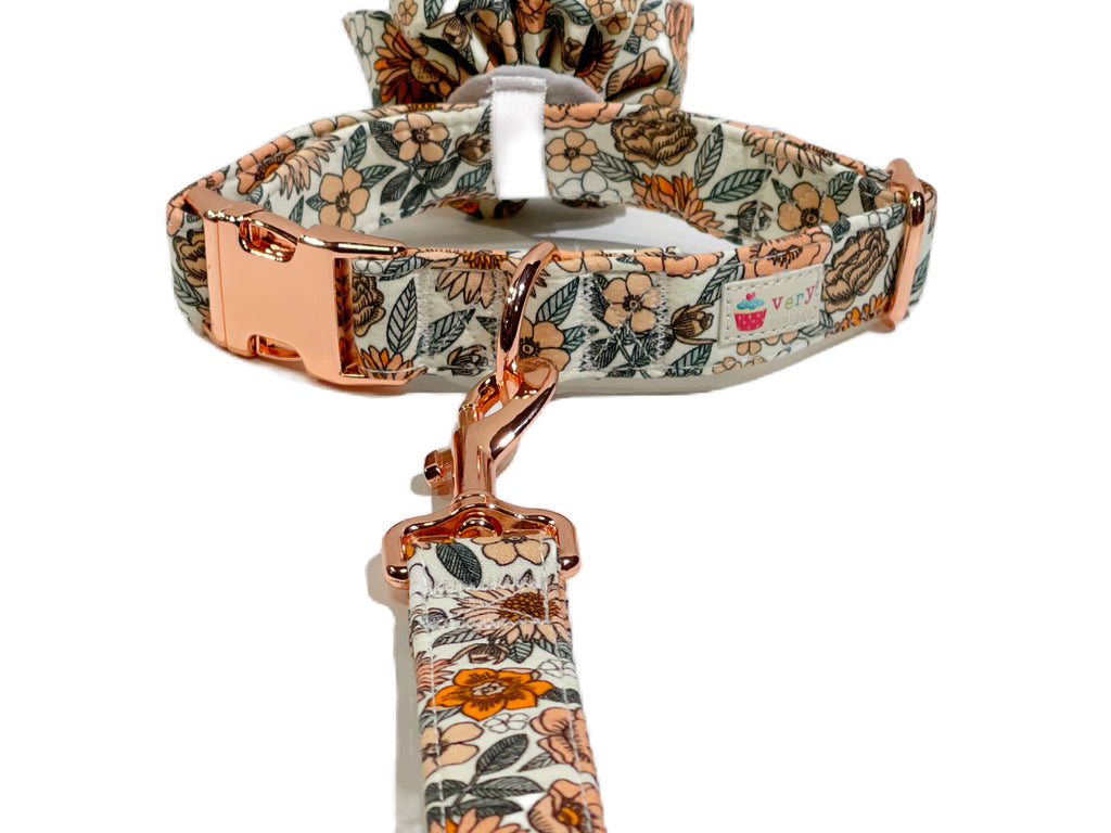 sample image of collar with matching leash attached