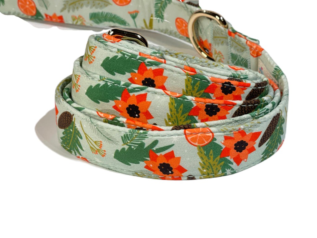 light green with Christmas poinsettia and oranges and pinecones leash for dog