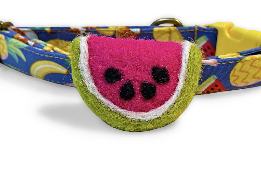 hot pink lime green watermelon slice for dog or cat collar