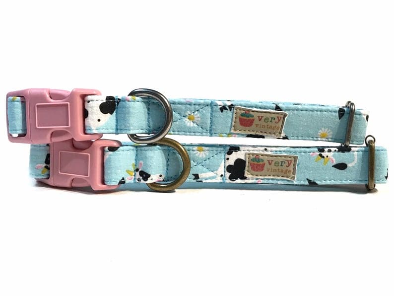Light blue pet collar featuring a fun, whimsical pattern of black and white Holstein cows, perfect for farm life lovers. Handmade from organic cotton with antique brass or silver hardware.