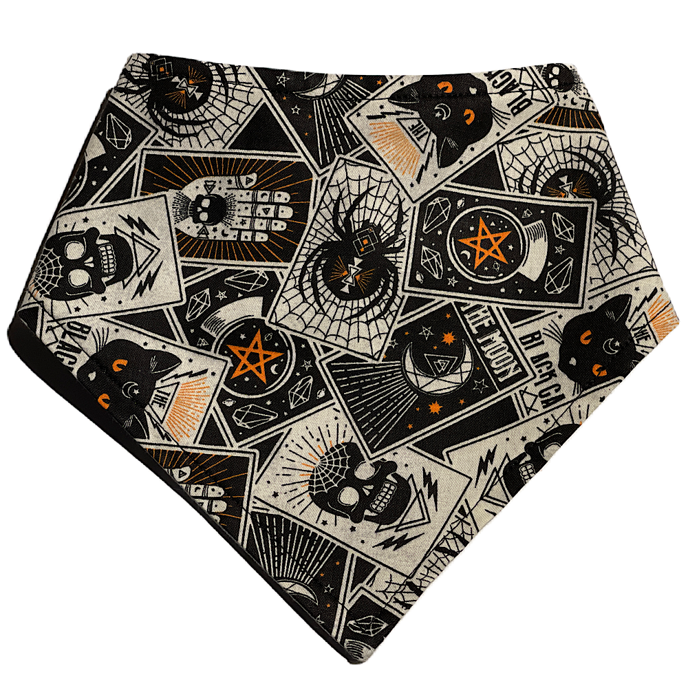 black and cream tarot cards with a touch of orange bandana for dogs and cats