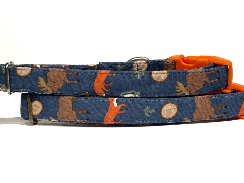blue and orange autumn collar for dog or cat