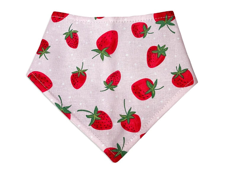 Strawberry Valentines Day Snap-on Bandana for a dog