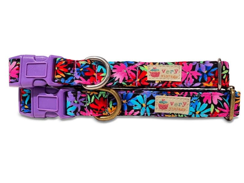 A close-up of the bold purple, blue, and hot pink floral dog collar, showcasing the tropical-inspired pattern. Made from organic cotton and finished with antique brass hardware, it’s a collar with personality.