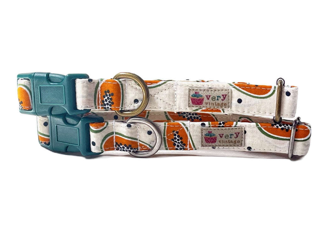 A close-up of the off-white papaya fruit collar on a dog, capturing the tropical, fruity design. Made from organic cotton and finished with antique brass hardware, this collar is perfect for summer.