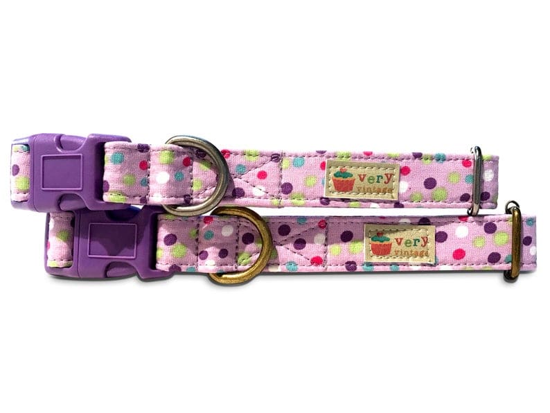 purple colorful dots collar for a dog or cat