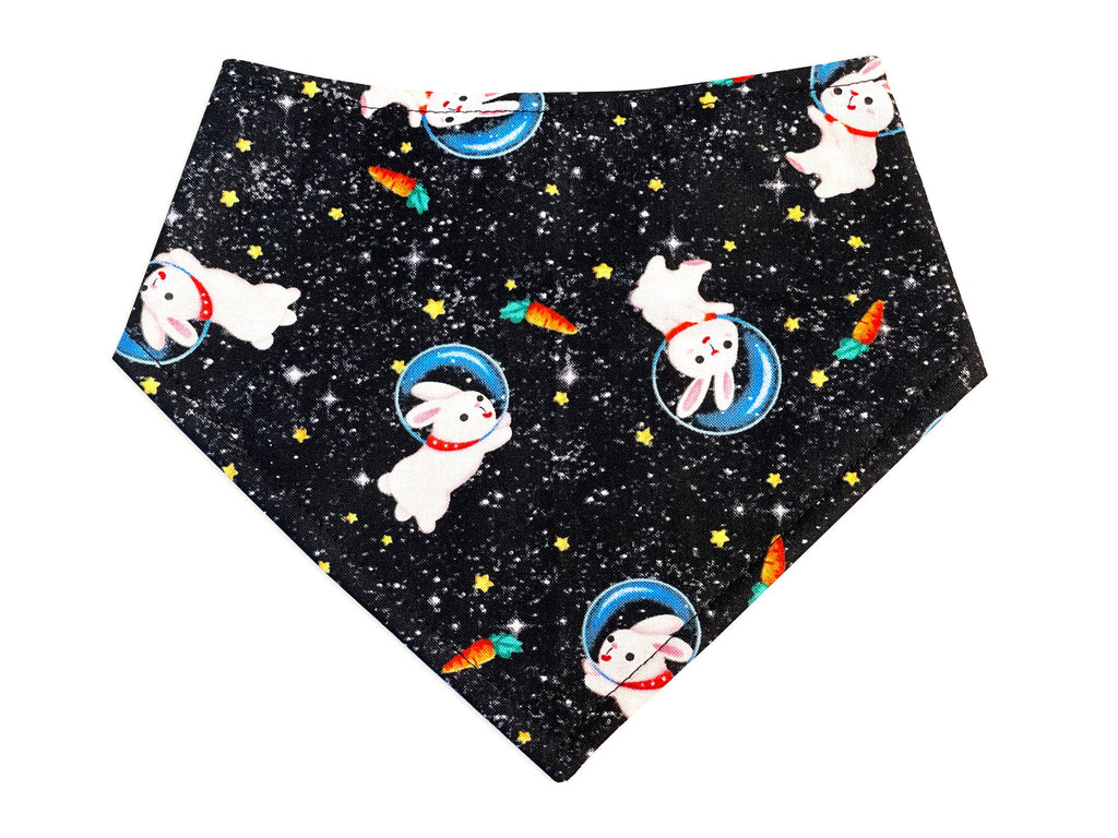 space bunny carrot Snap-on Bandana for a dog