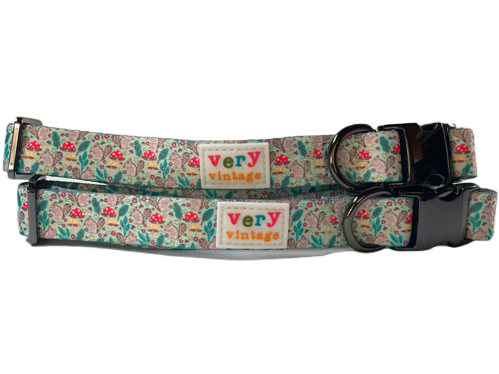 Adjustable mint green dog collar with durable metal hardware and a playful squirrel and mushroom pattern.