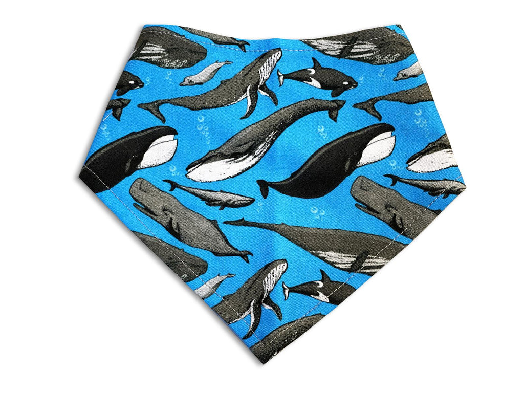 Dog bandana with a blue background, featuring a variety of gray, white, and black whales including humpback, orca, and beluga whales. Handmade in Los Angeles. Features 3 snaps on back for a secure and adjustable fit.